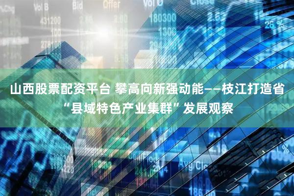 山西股票配资平台 攀高向新强动能——枝江打造省“县域特色产业集群”发展观察