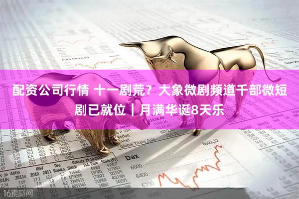 配资公司行情 十一剧荒？大象微剧频道千部微短剧已就位｜月满华诞8天乐